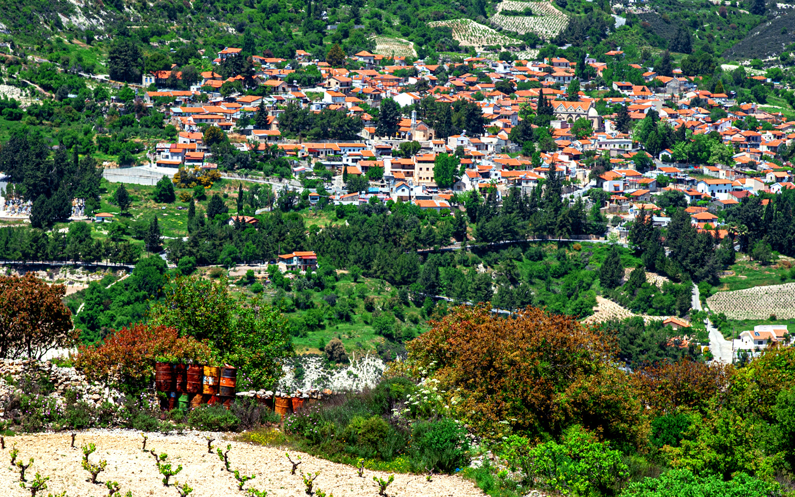 Koilani Village